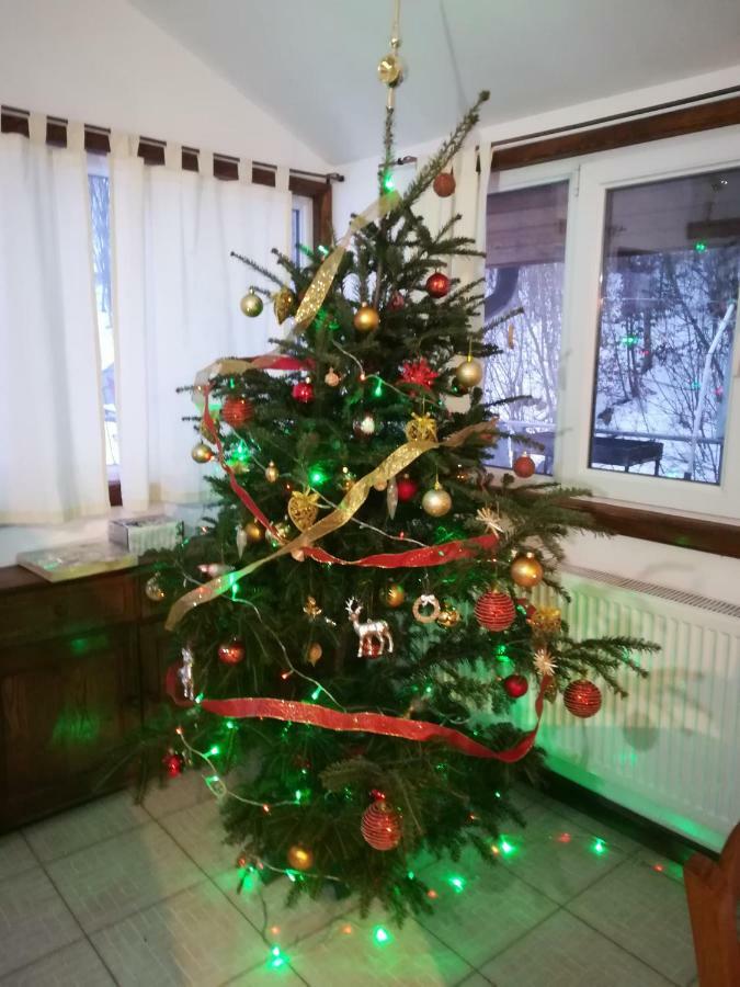 Vila Margareta Curtea de Argeş Extérieur photo